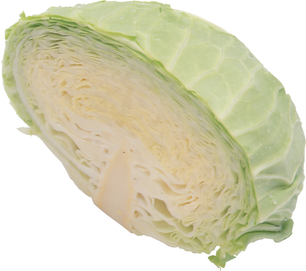 Fresh Green Cabbage Half Cut Transparent Background