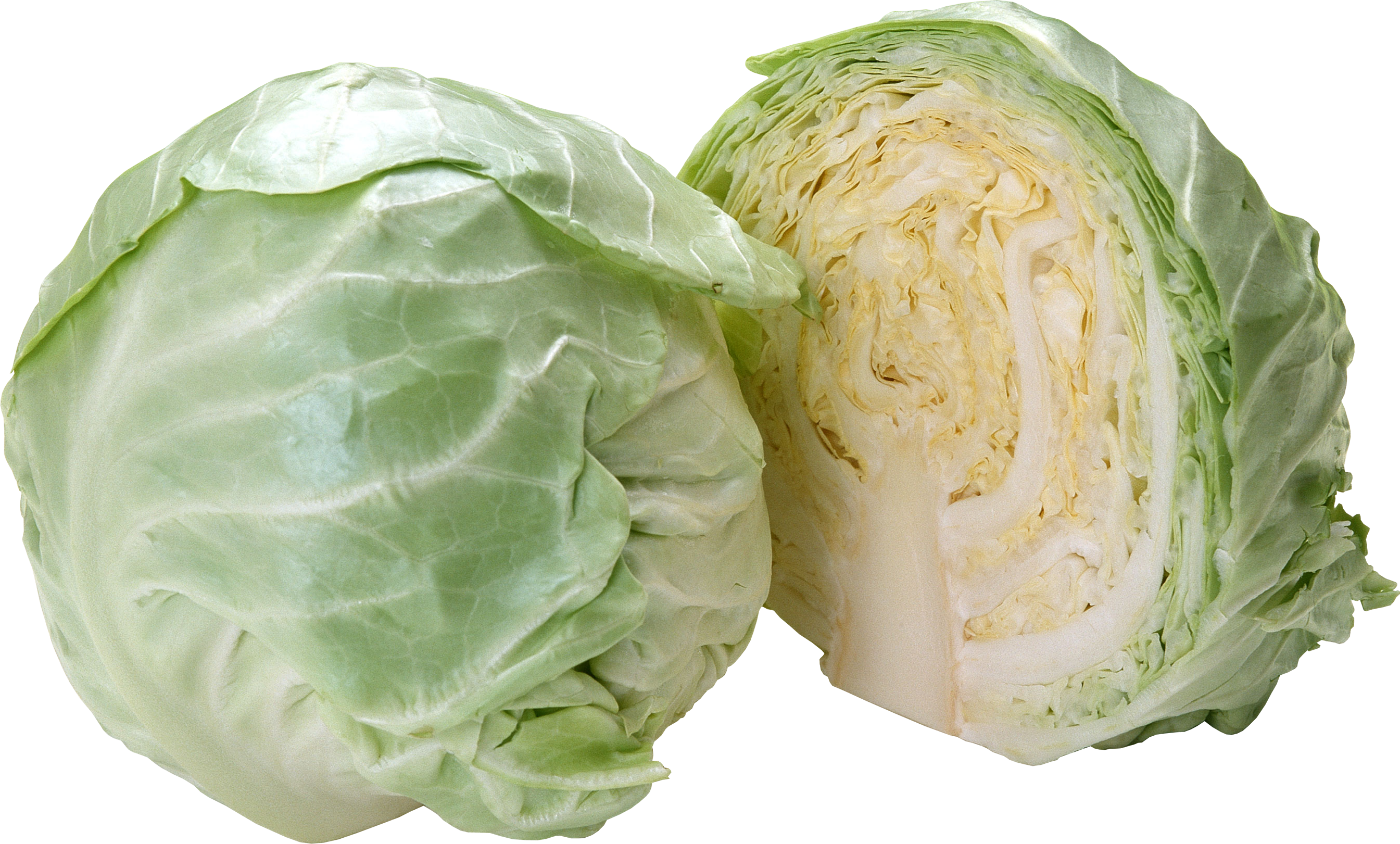 Fresh Green Cabbage Halfand Whole