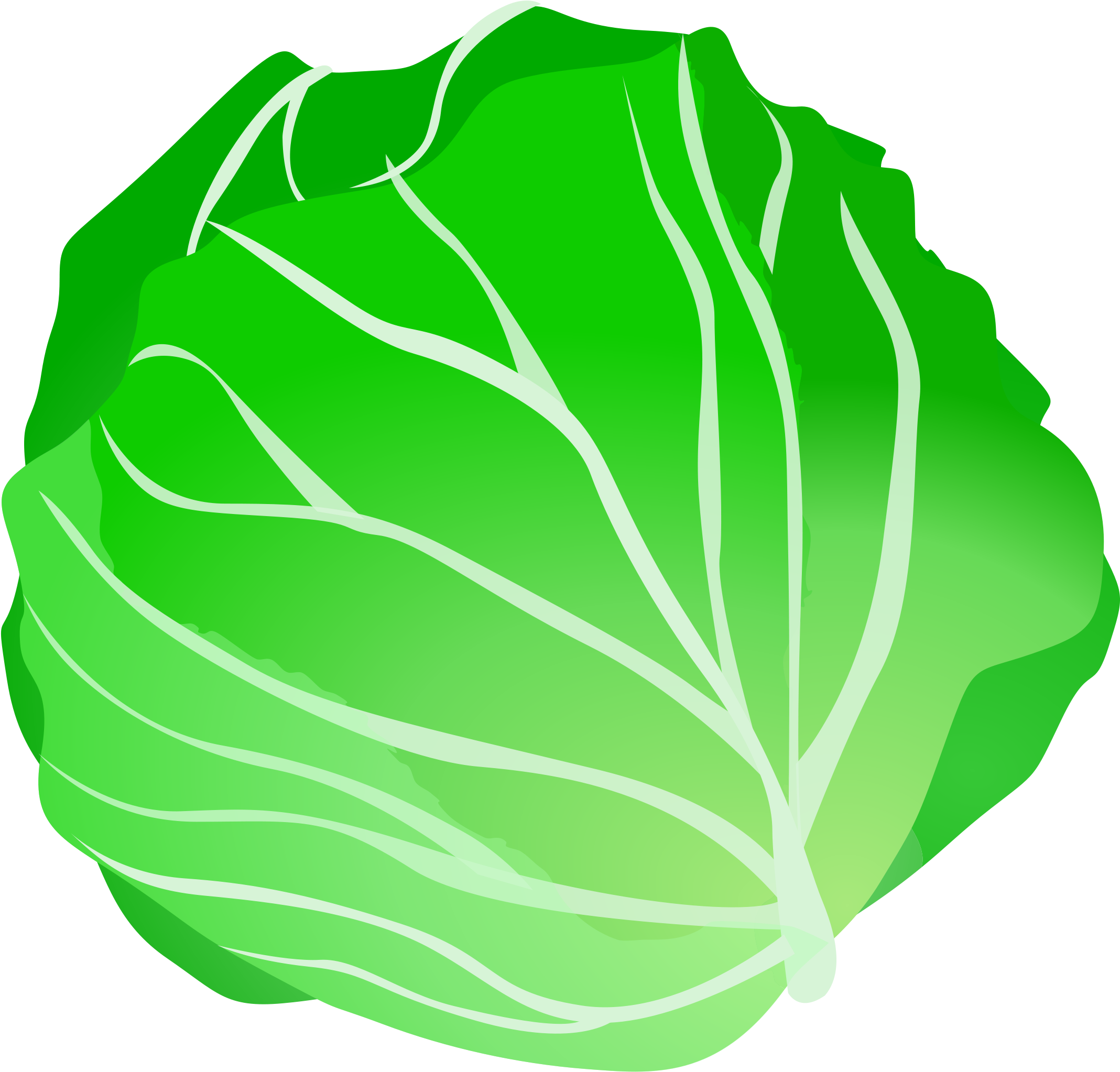 Fresh Green Cabbage Illustration.png