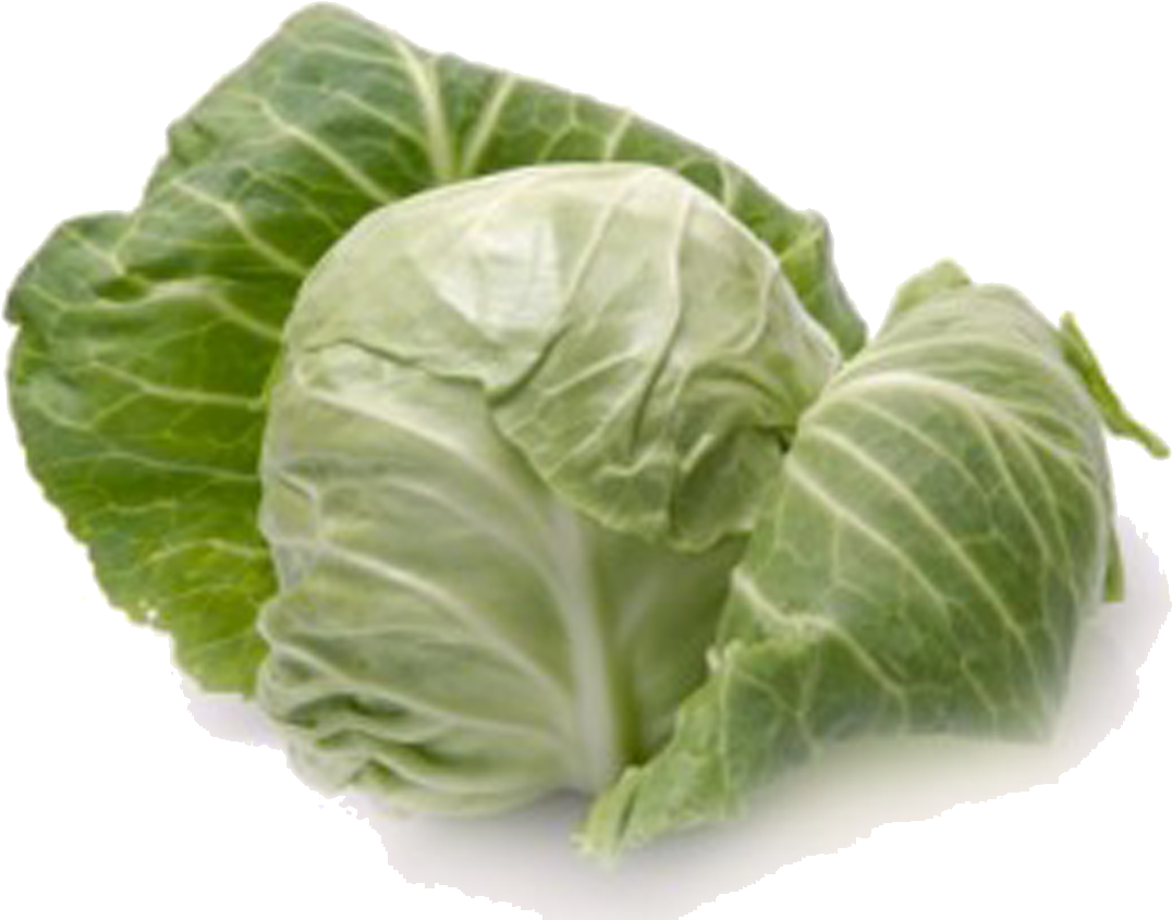 Fresh Green Cabbage Isolated