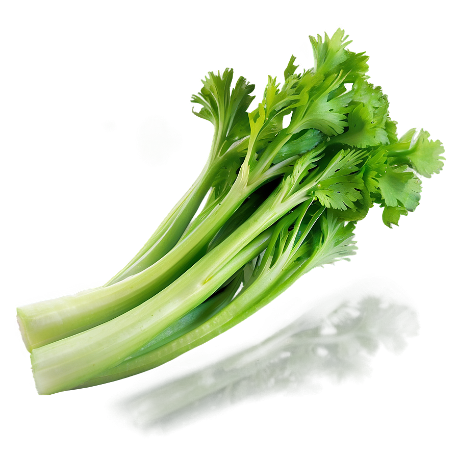 Fresh Green Celery Png Fpn