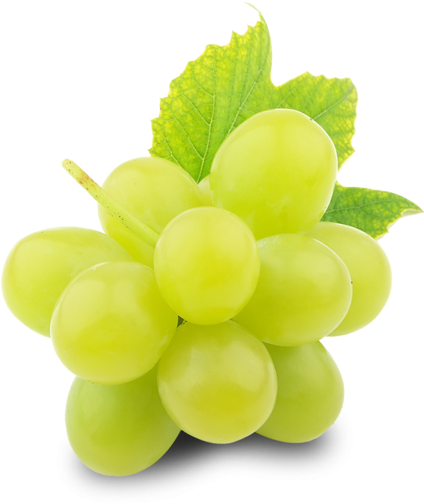 Fresh Green Grapes With Leaf.png