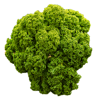 Fresh Green Kale Black Background