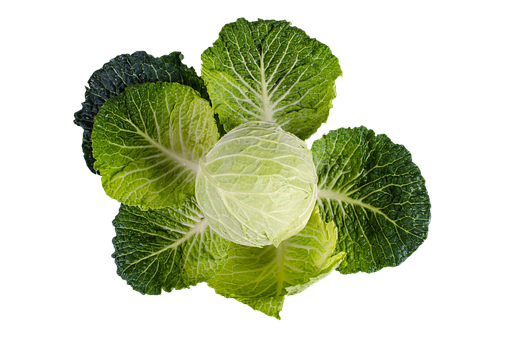 Fresh Green Kale Leaves Black Background