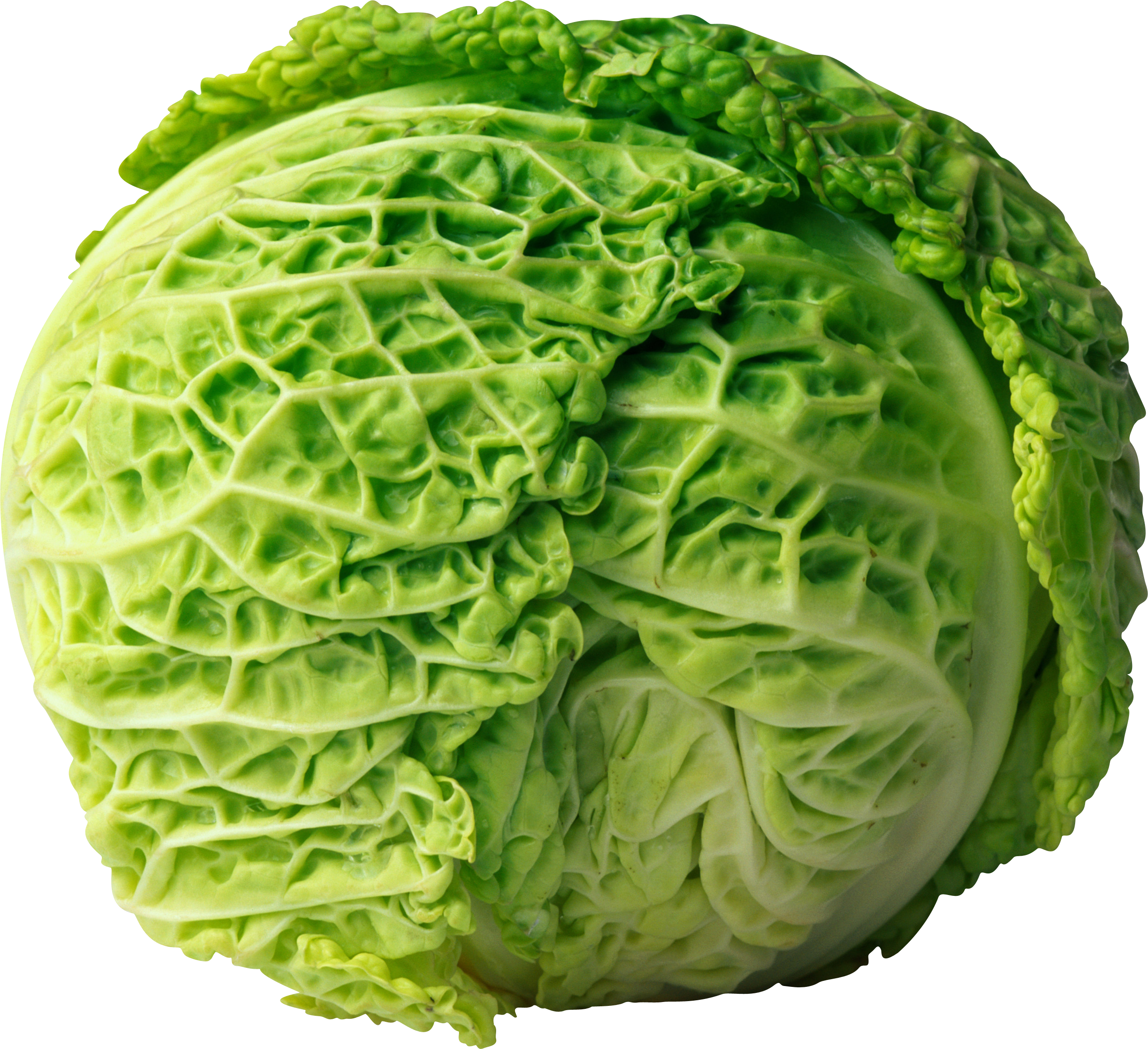 Fresh Green Lettuce Head