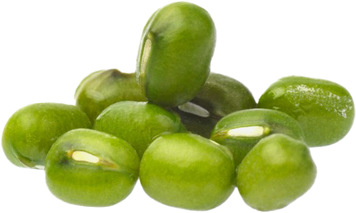 Fresh Green Mung Beans Isolated