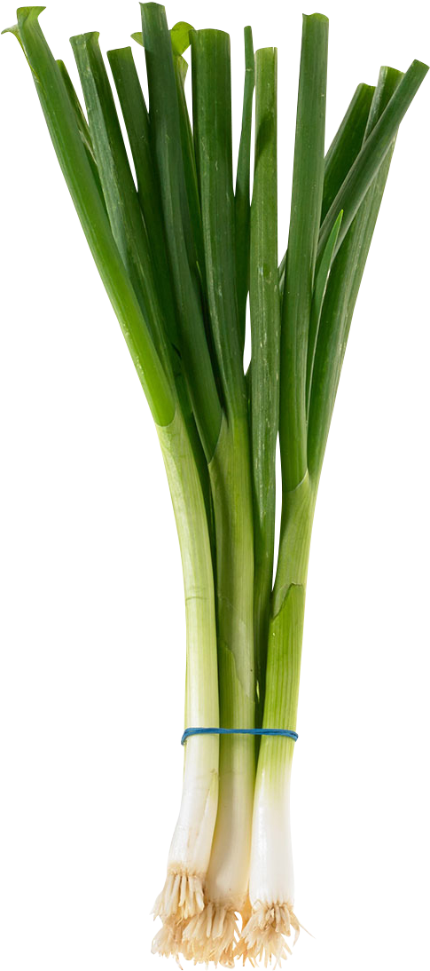 Fresh Green Onions Bunch