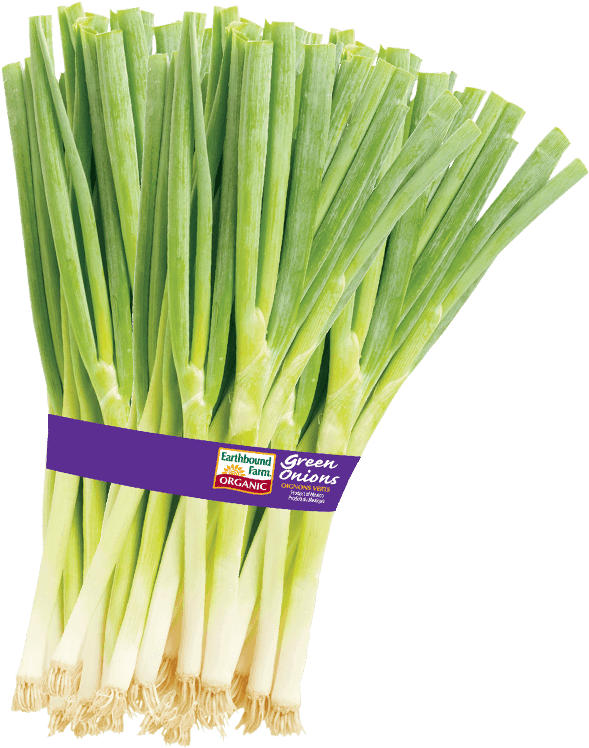 Fresh Green Onions Bundle