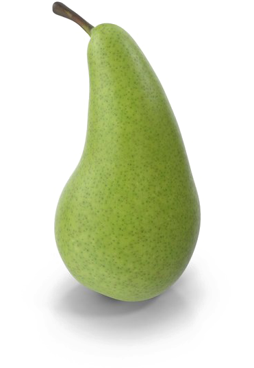 Fresh Green Pear Standing