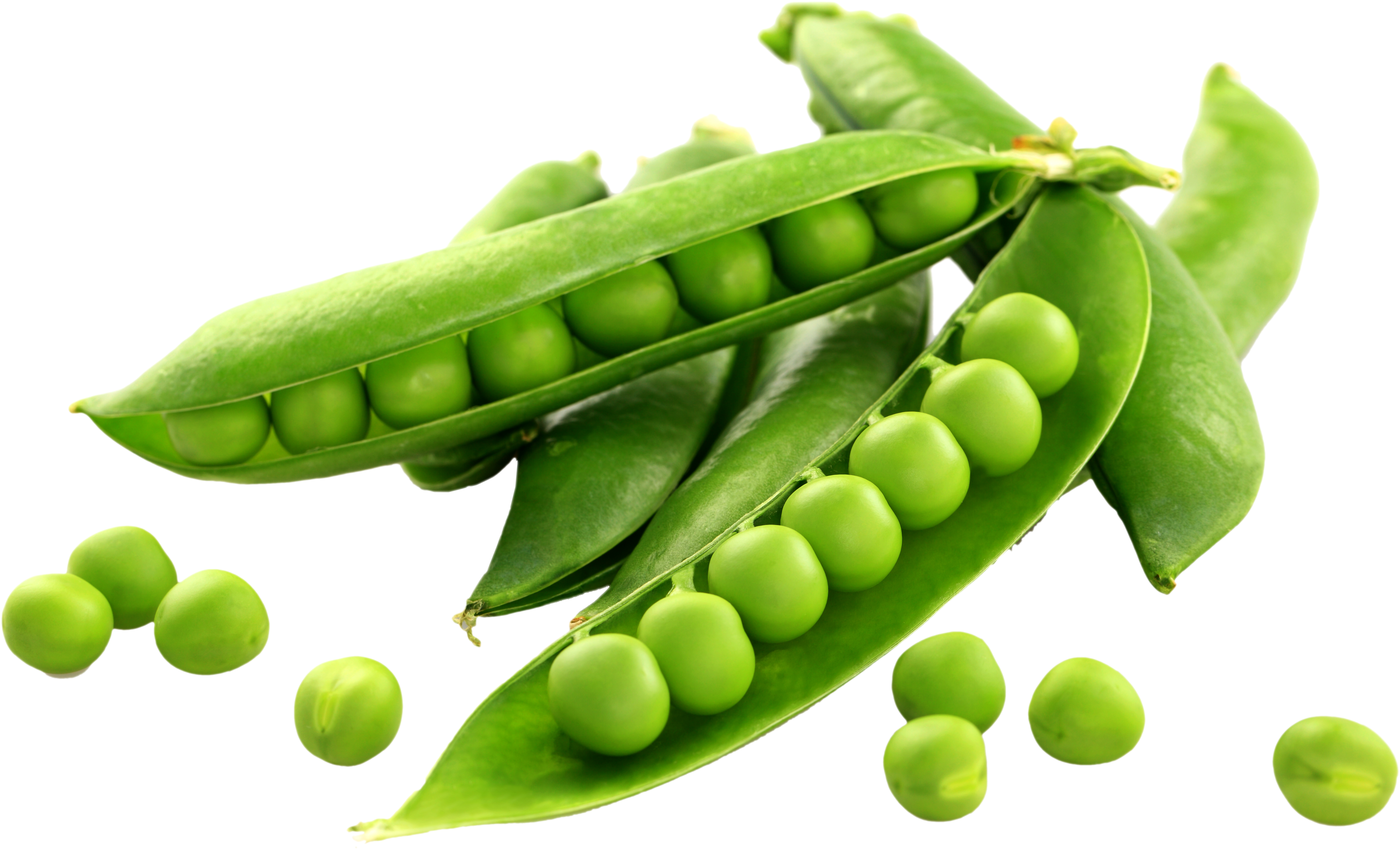 Fresh Green Peas Pods