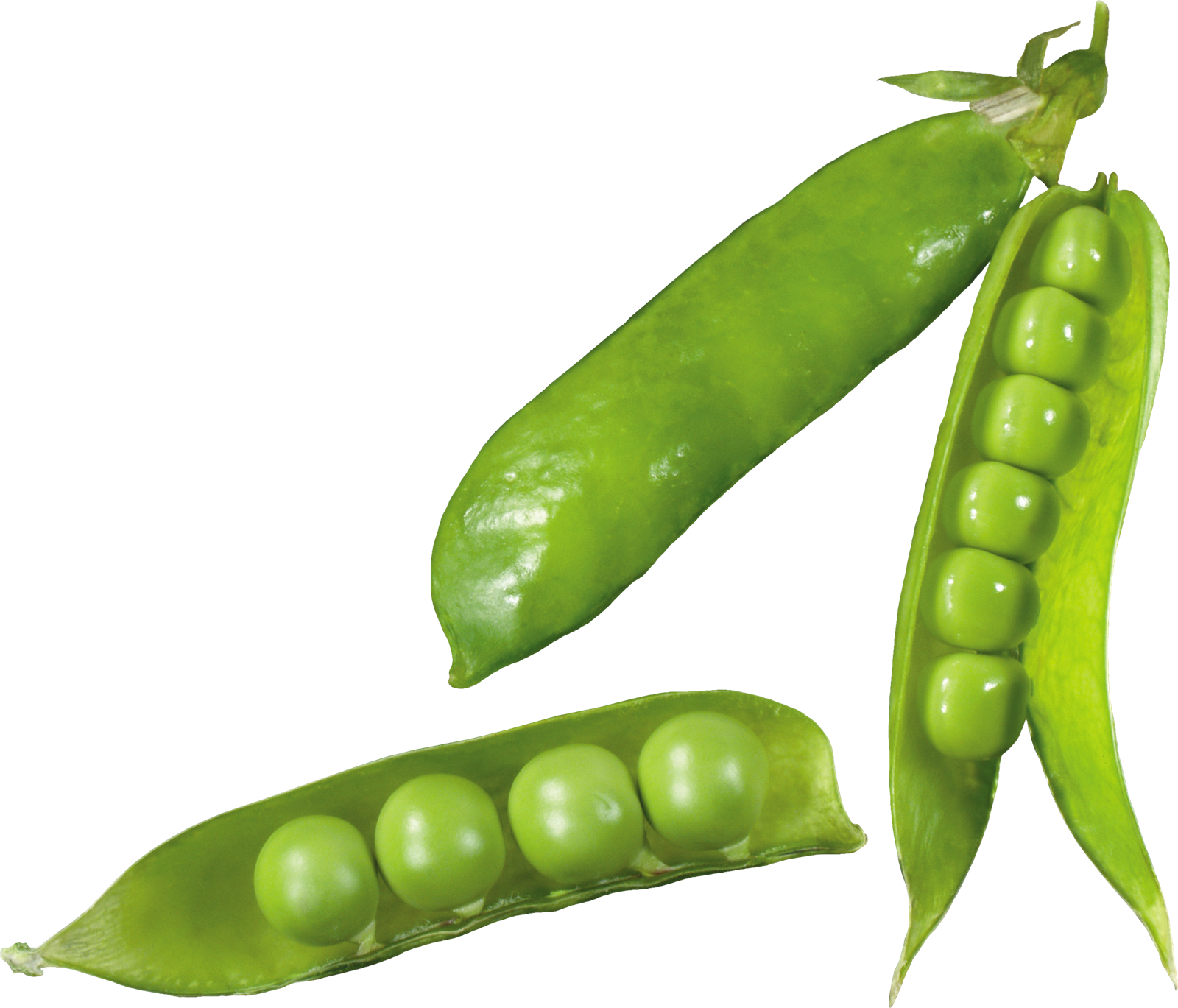 Fresh Green Peas Pods Transparent Background