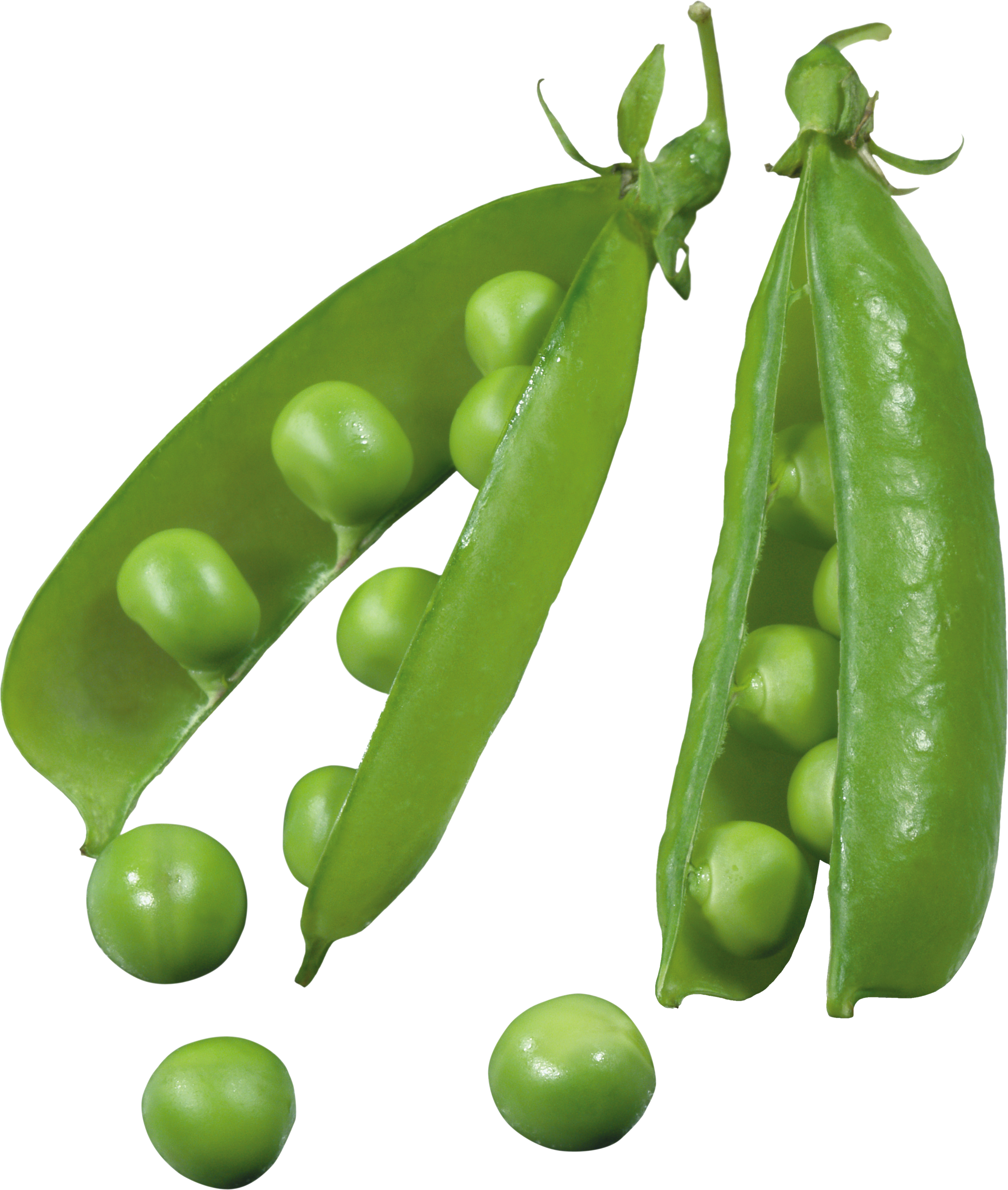 Fresh Green Peas Pods Transparent Background