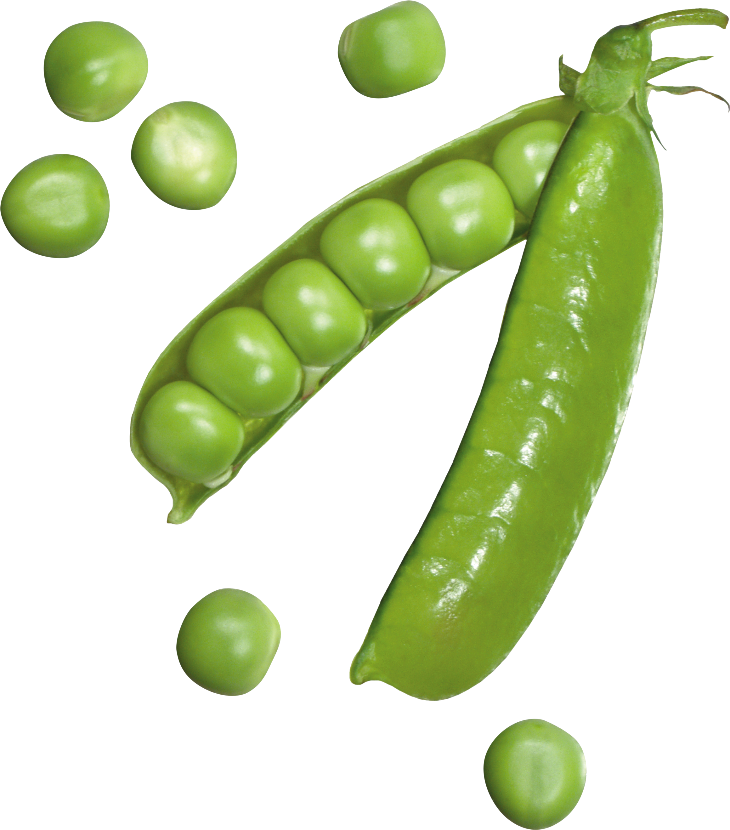 Fresh Green Peasand Pod