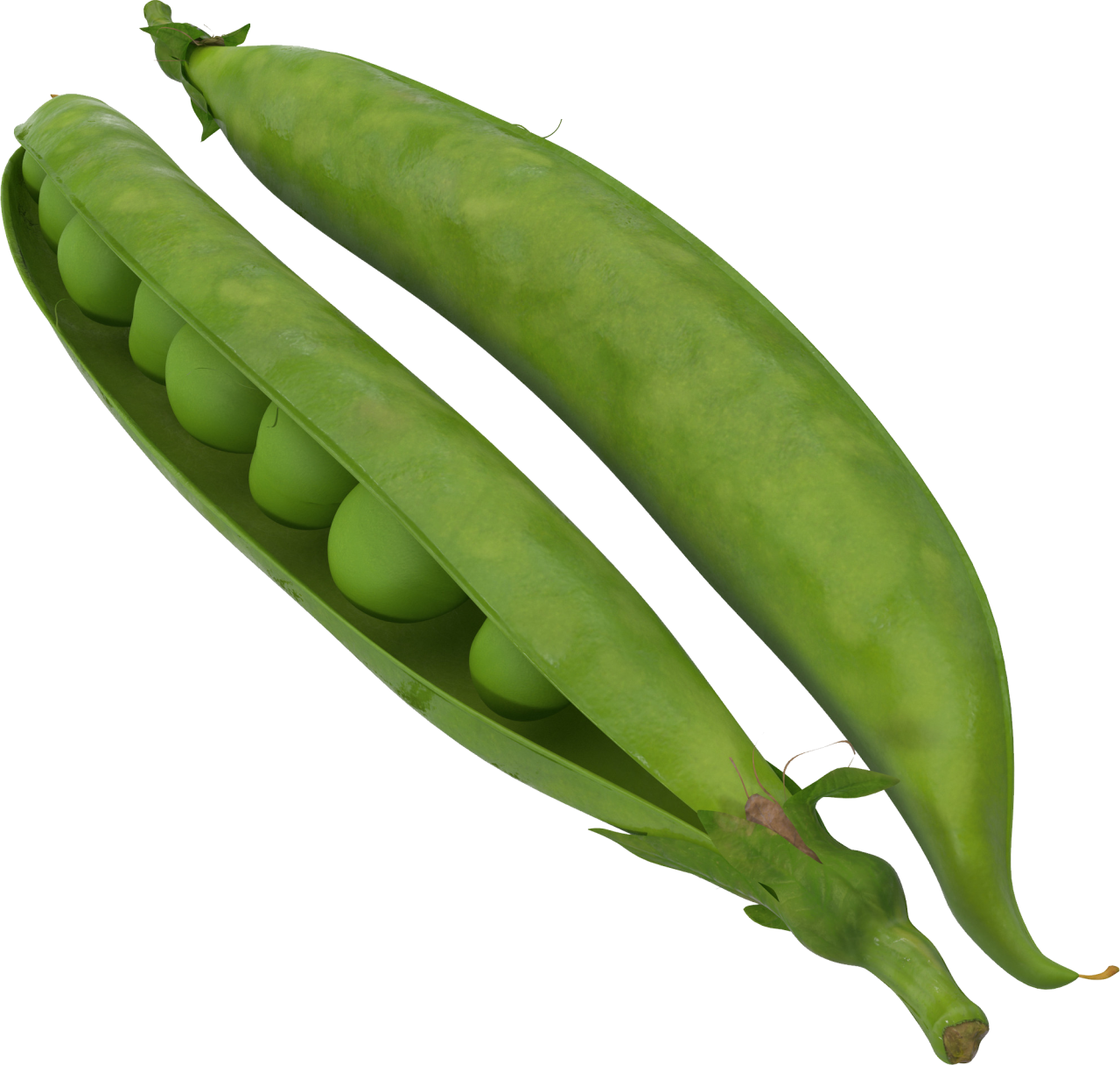 Fresh Green Peasin Pods