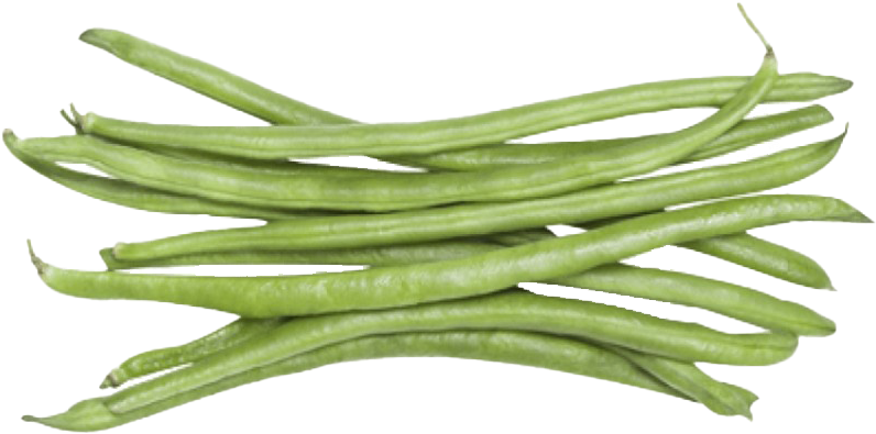 Fresh Green String Beans Isolated