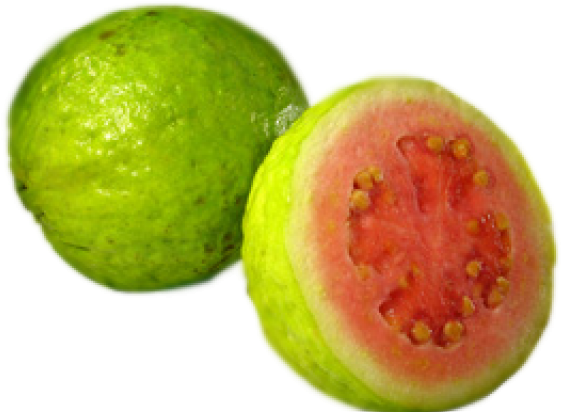 Fresh Guava Fruit Cutand Whole