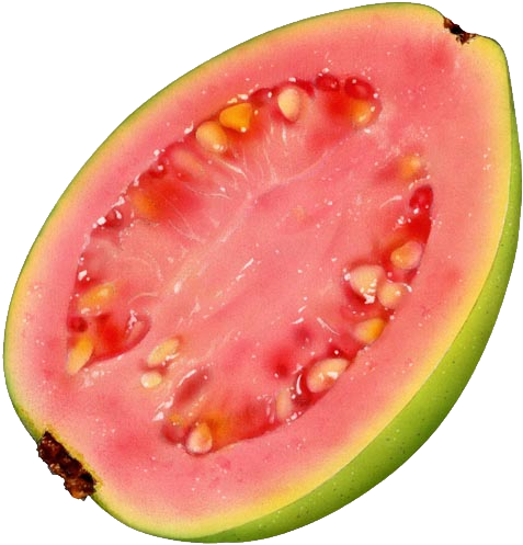 Fresh Guava Slice Pink