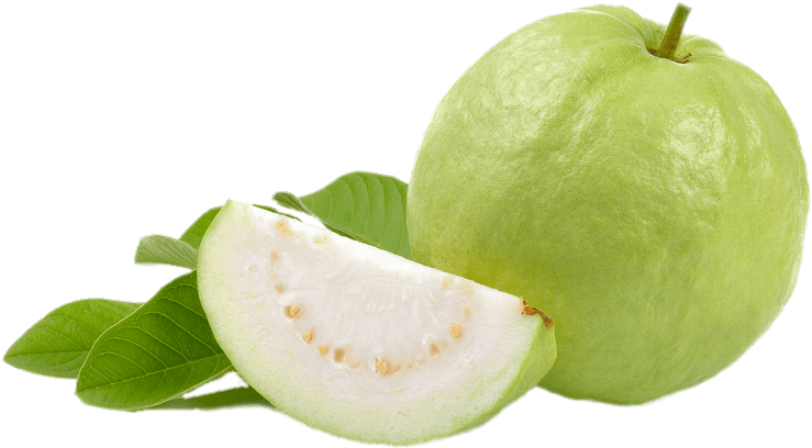 Fresh Guavaand Slice.png