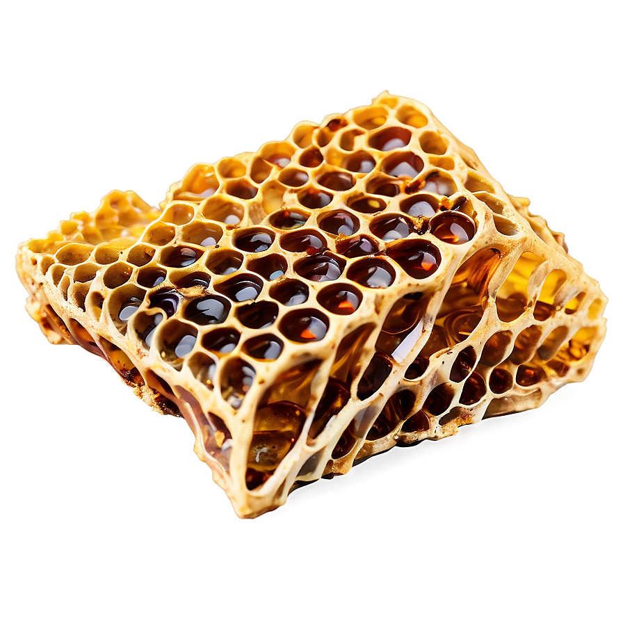 Fresh Honeycomb Piece Png 05232024