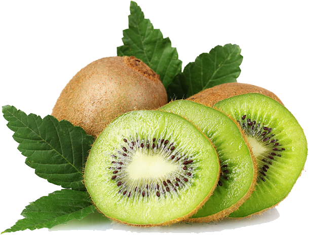 Fresh Kiwi Fruitand Slices