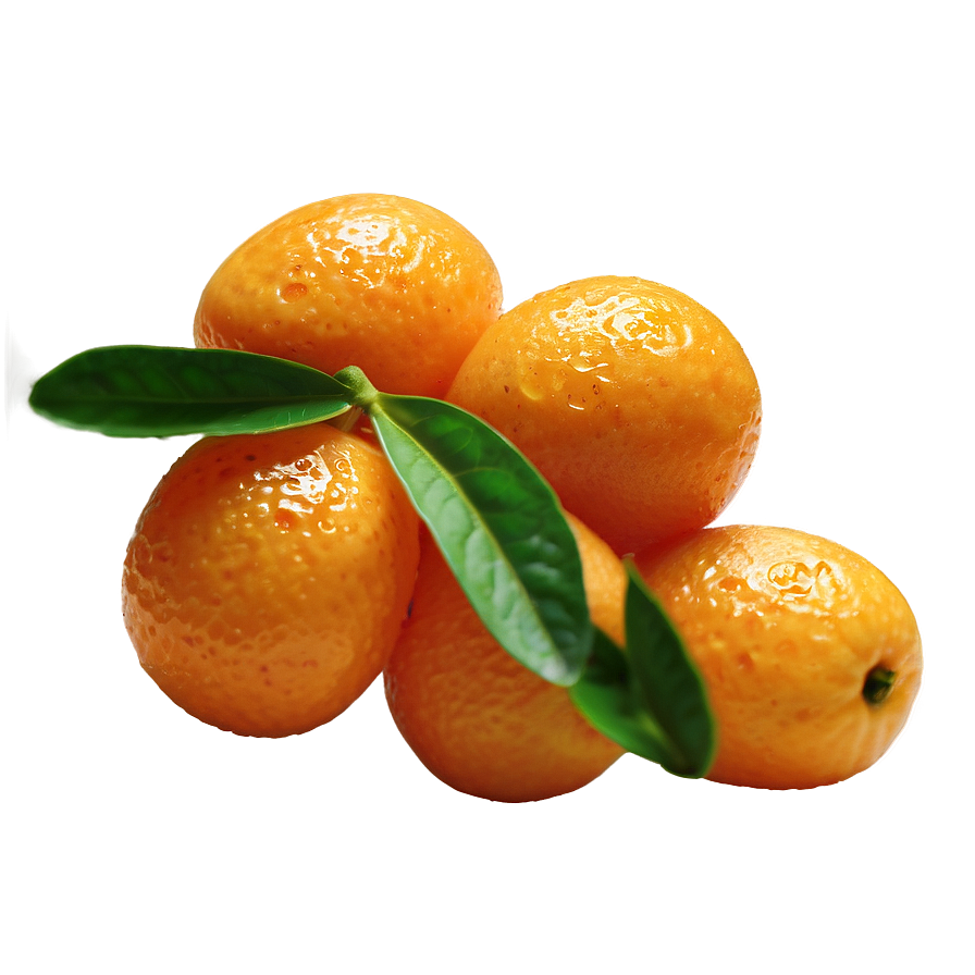 Fresh Kumquat Png Jpn65