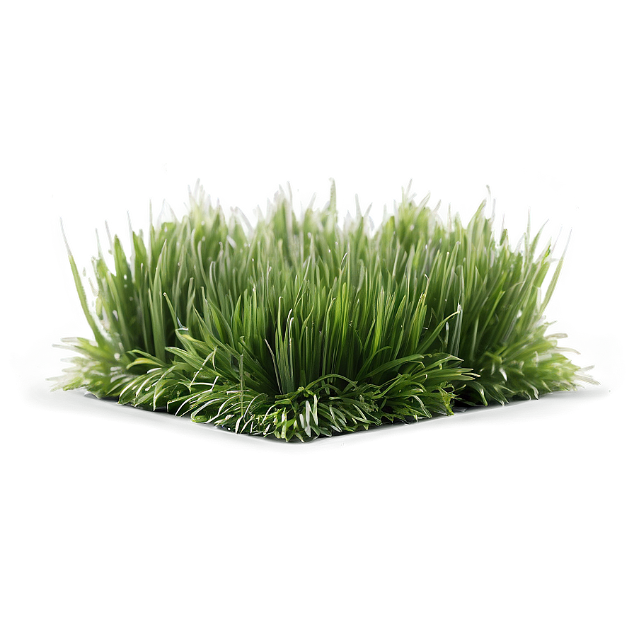 Fresh Lawn Grass Png Nxj