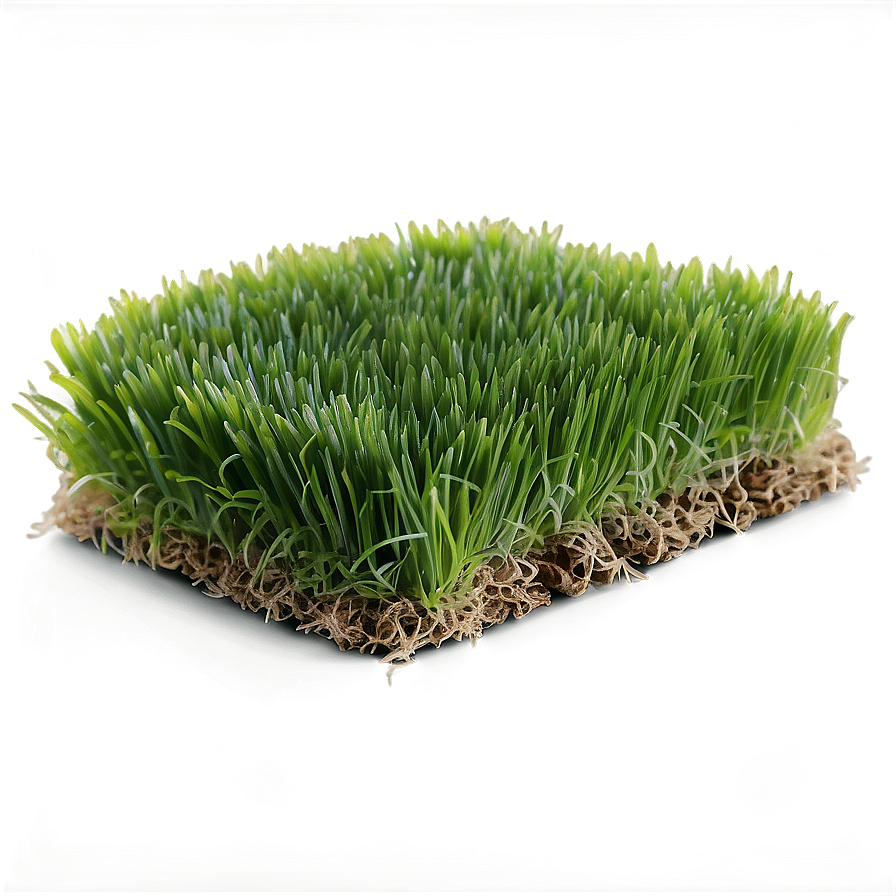 Fresh Lawn Grass Png Ocn