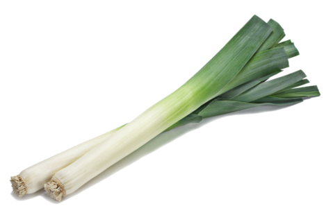 Fresh Leek Vegetable Isolated