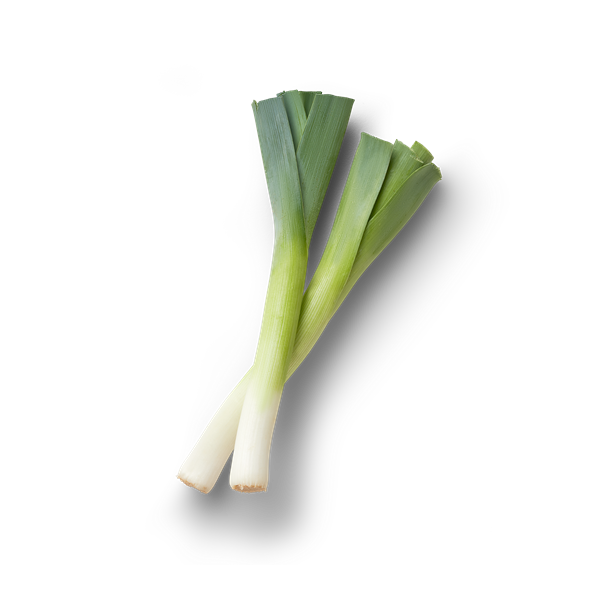 Fresh Leek Vegetable Isolated