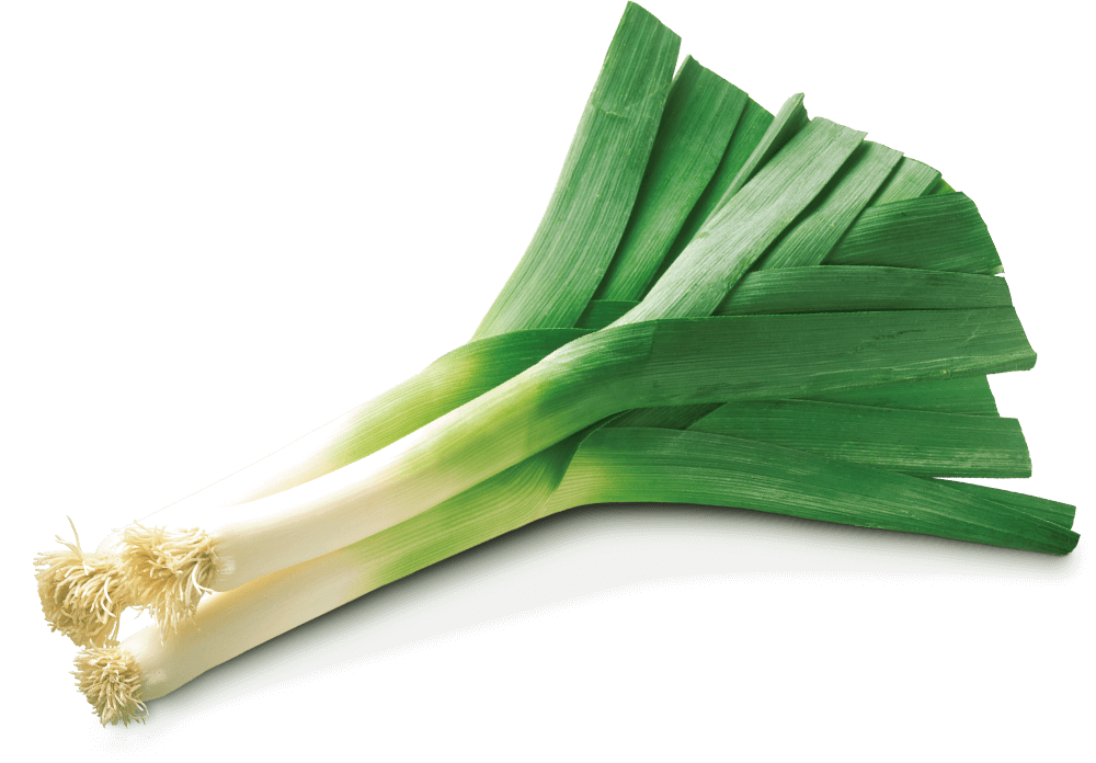 Fresh Leeks Isolatedon Background.png