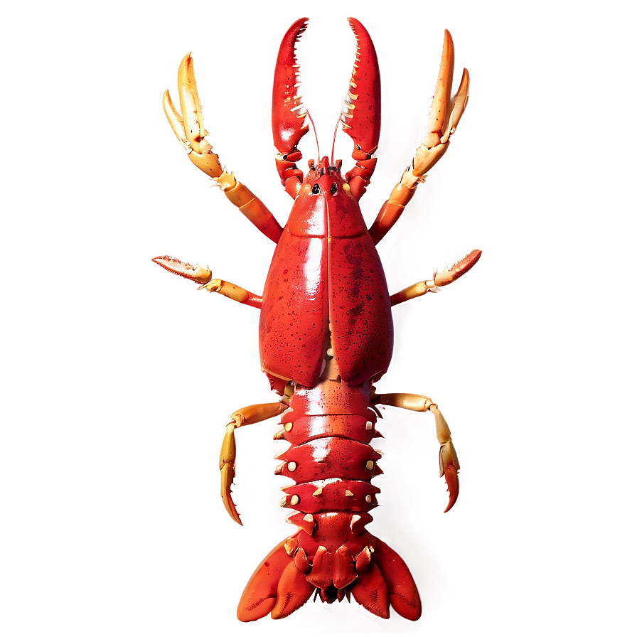 Fresh Lobster Png Irc99