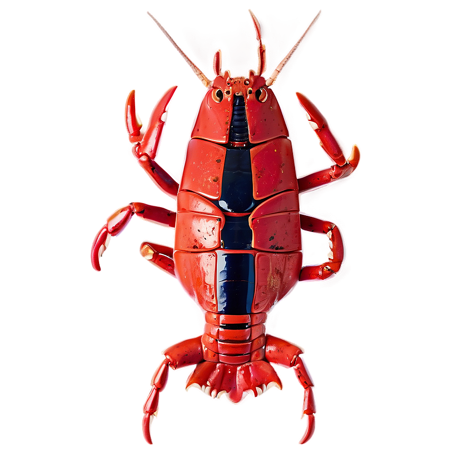 Fresh Maine Lobster Feast Png 06202024