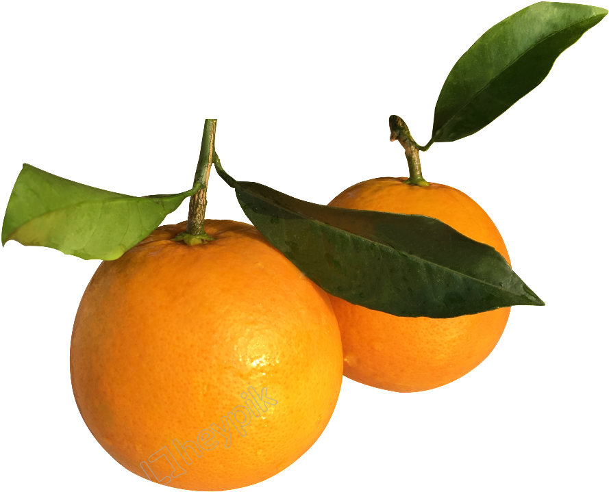 Fresh Mandarin Oranges With Leaves