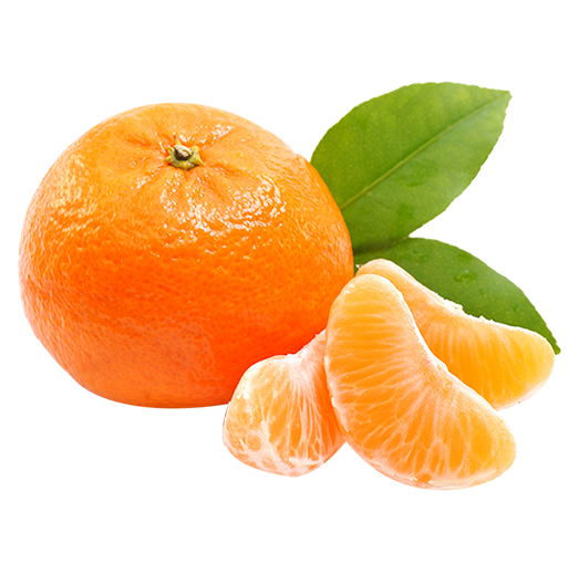 Fresh Mandarin Orangewith Segments.png