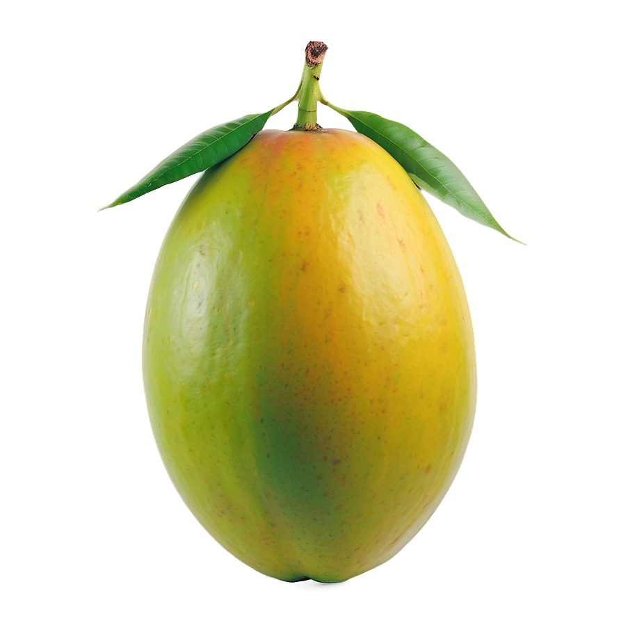 Fresh Mango Png 05232024