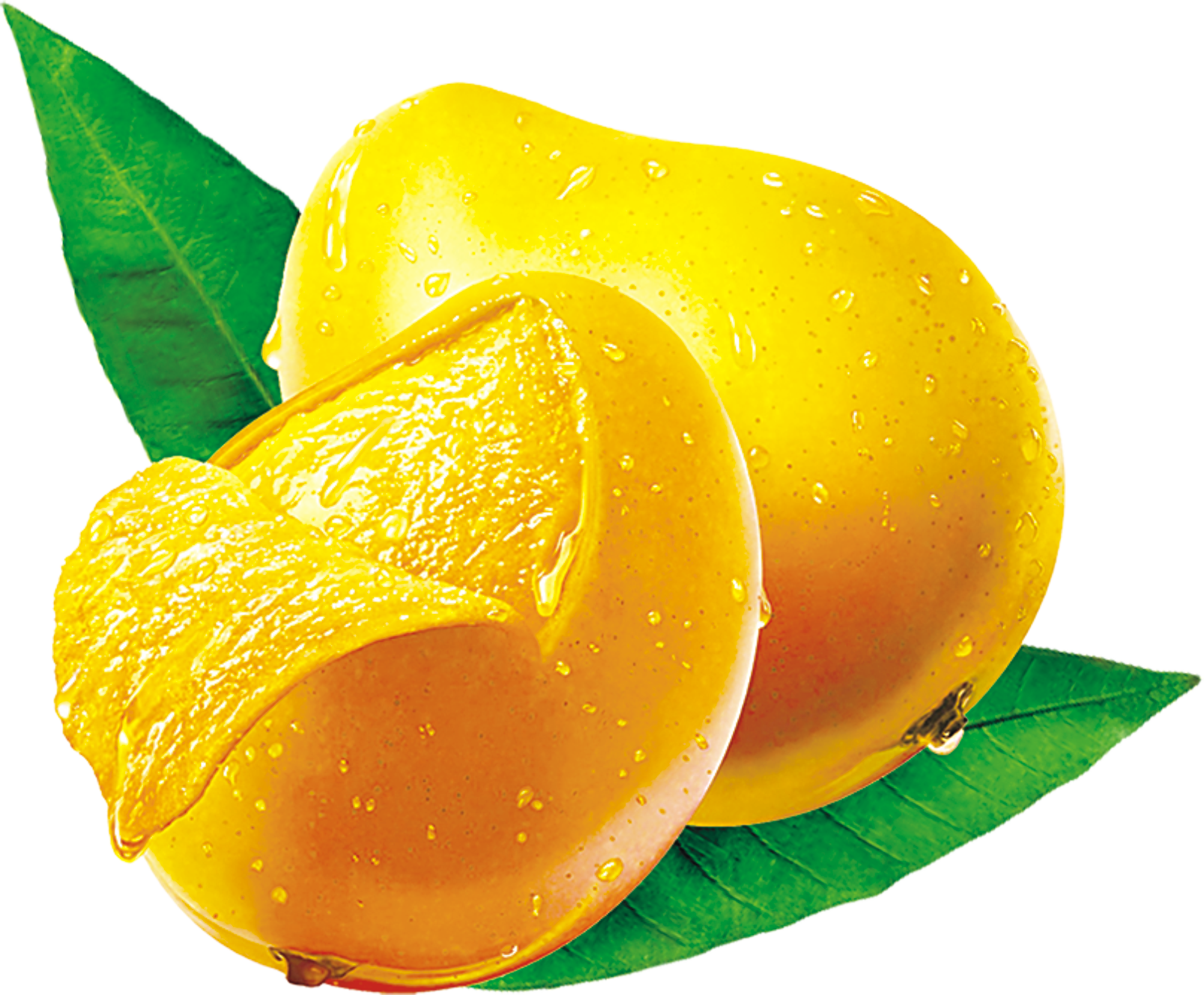 Fresh Mangoes With Dew Drops
