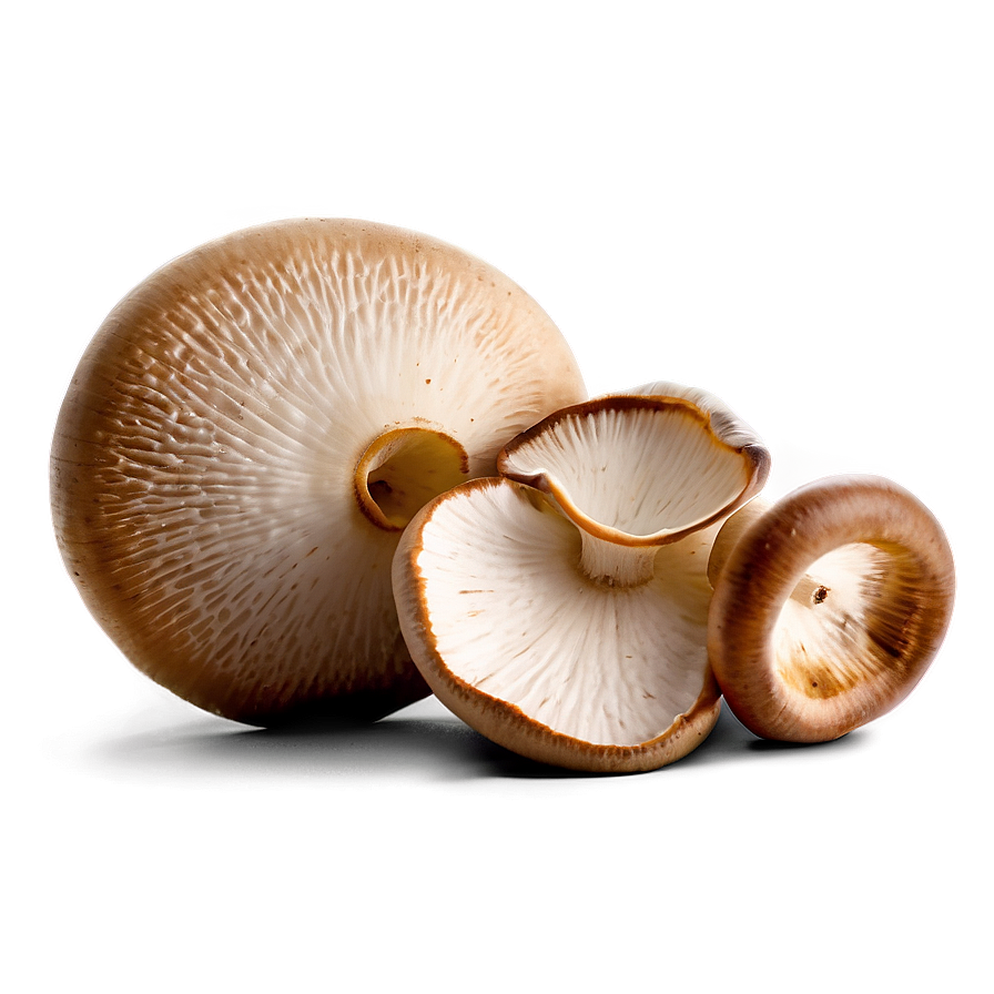 Fresh Mushrooms Png Ine78