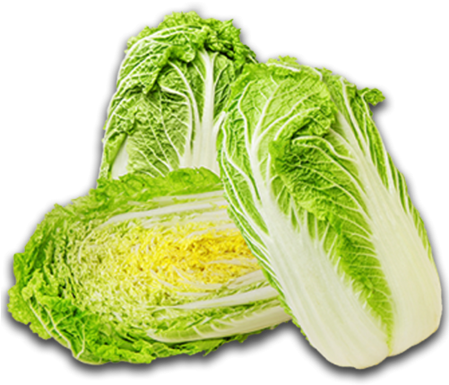 Fresh Napa Cabbage Halves