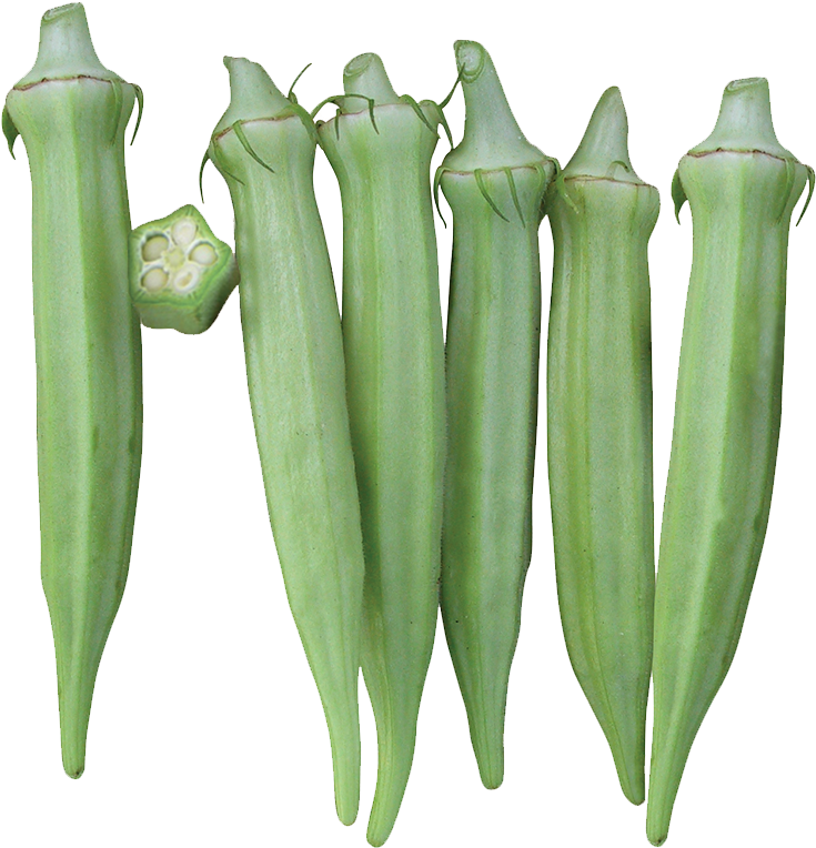 Fresh Okra Pods Transparent Background