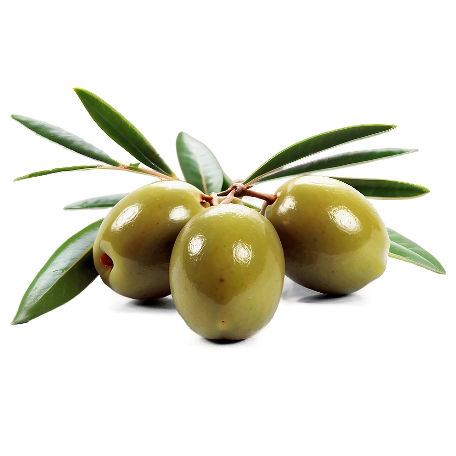 Fresh Olive Fruit Png Hpl46