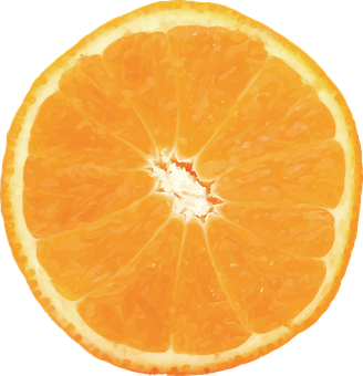 Fresh Orange Slice Black Background