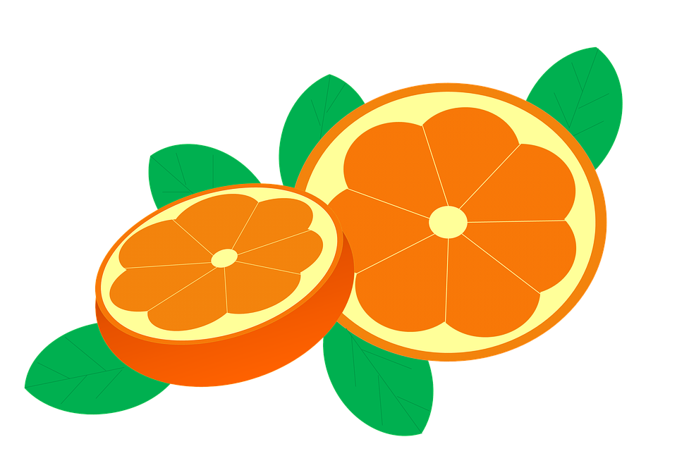 Fresh Orange Slices Illustration