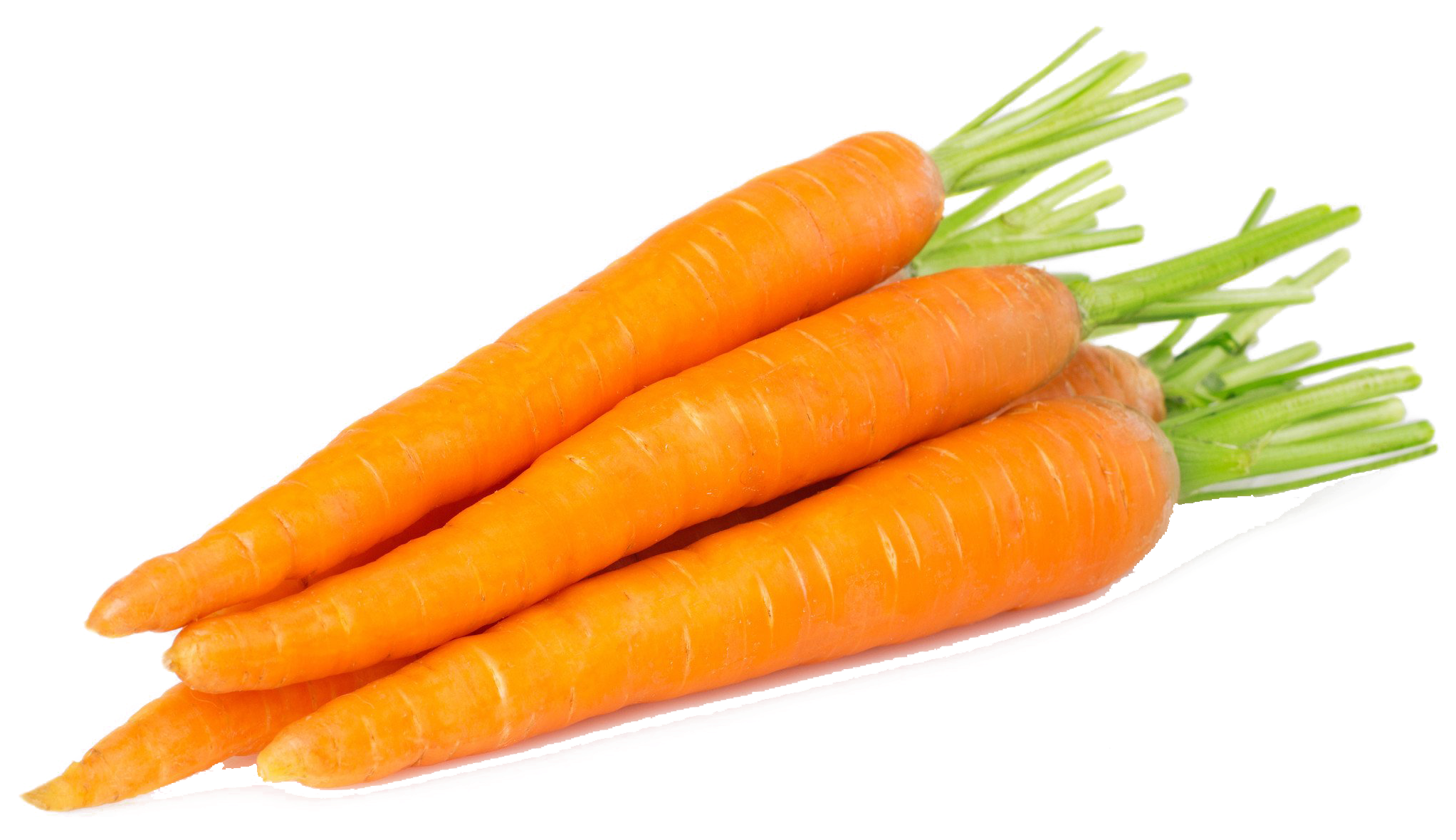 Fresh Organic Carrots Isolated