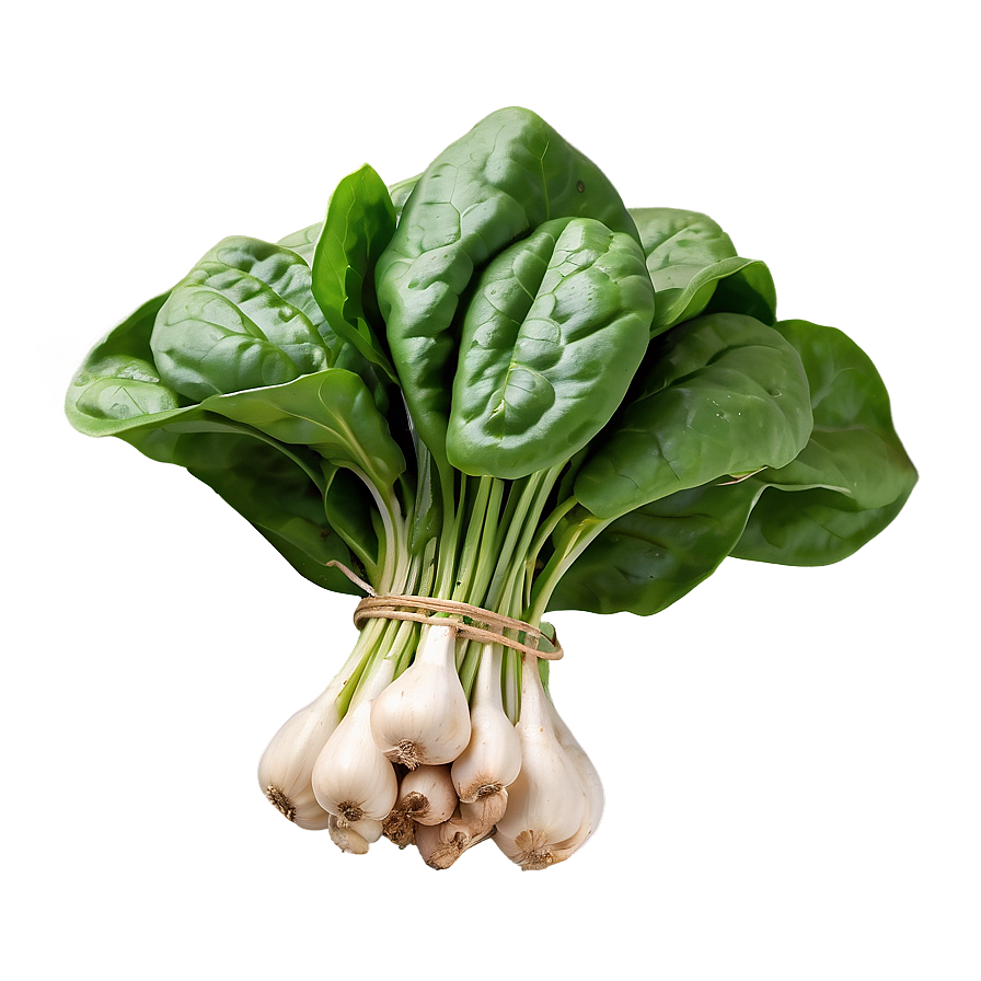 Fresh Organic Spinach Bunch Png 8