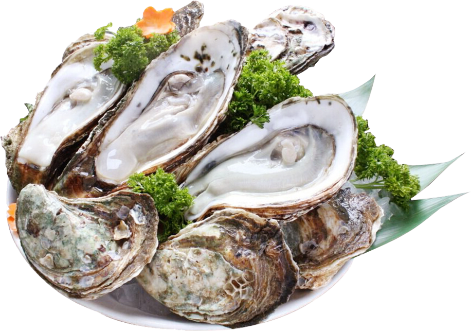 Fresh Oysterson Plate