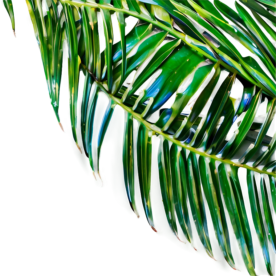 Fresh Palm Leaves Png 72