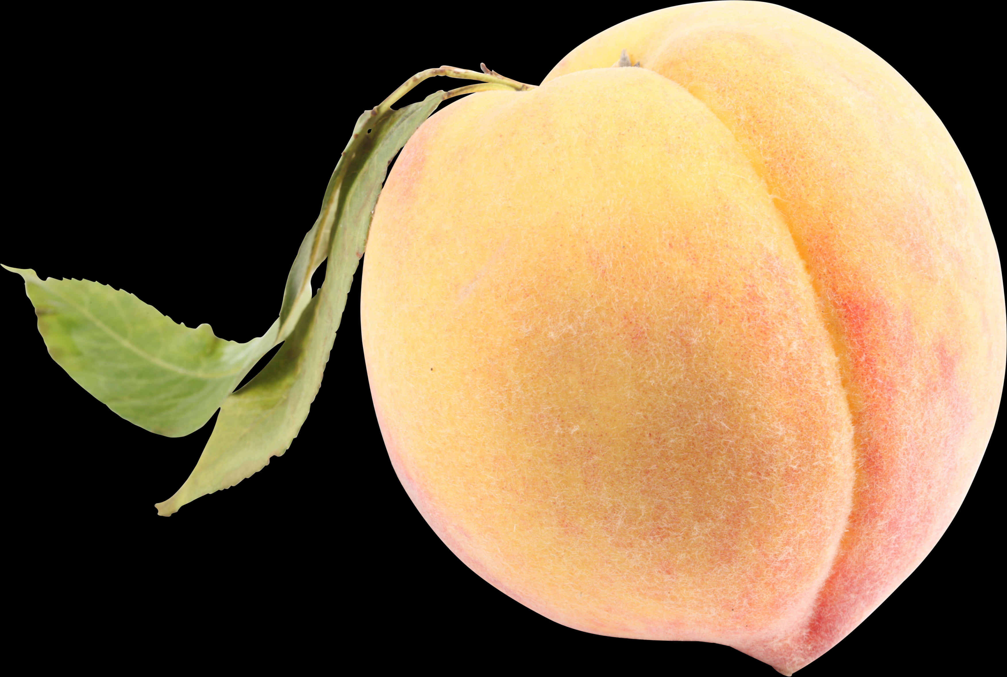 Fresh Peach Black Background