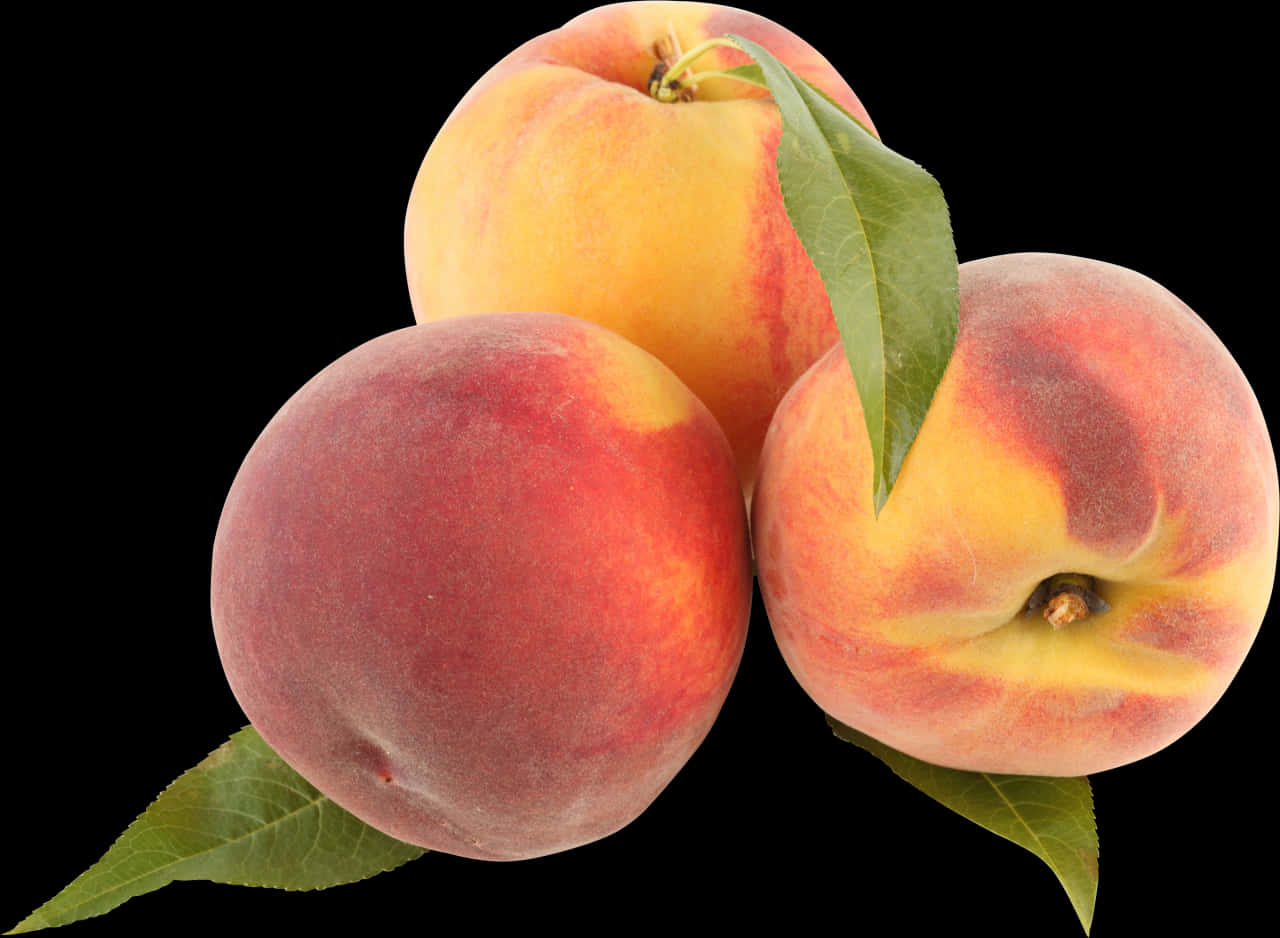 Fresh Peaches Black Background