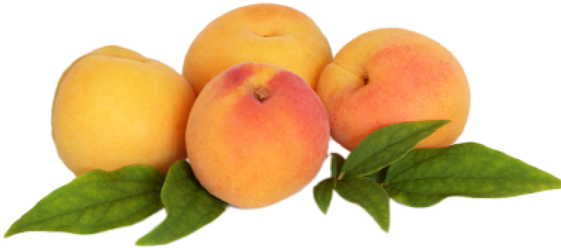 Fresh Peaches With Leaves