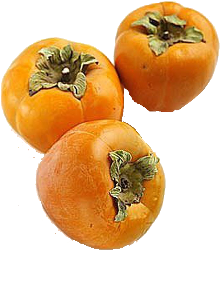 Fresh Persimmons Fruit Isolated